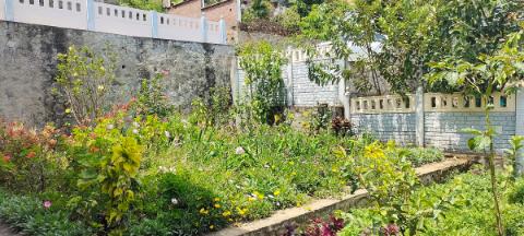 cottages in kodaikanal