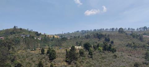 cottages in kodaikanal