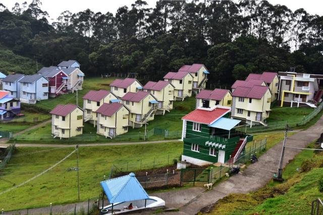 Kodai Mist in Kodaikanal