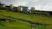 cottages in kodaikanal