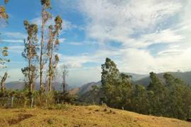 cottages in kodaikanal